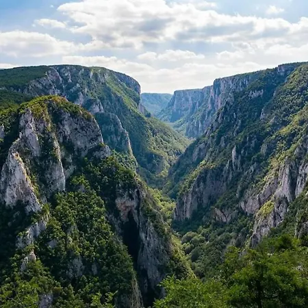펜션 Tea Borsko Jezero