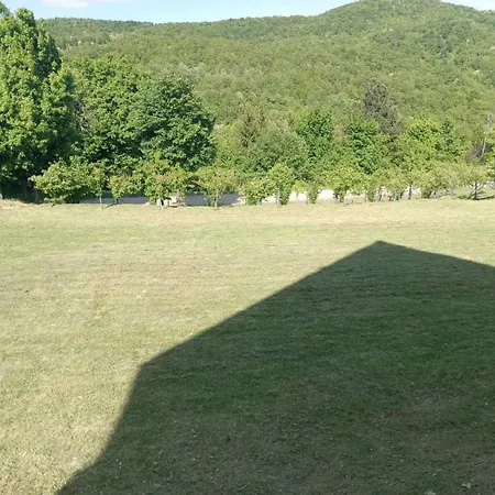 Tea Borsko Jezero