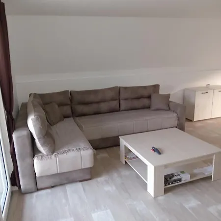 펜션 Tea Borsko Jezero 보르