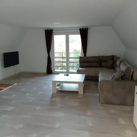 Tea Borsko Jezero 펜션 보르