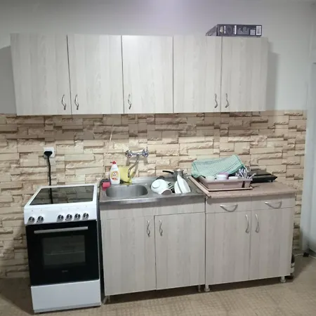 펜션 Tea Borsko Jezero