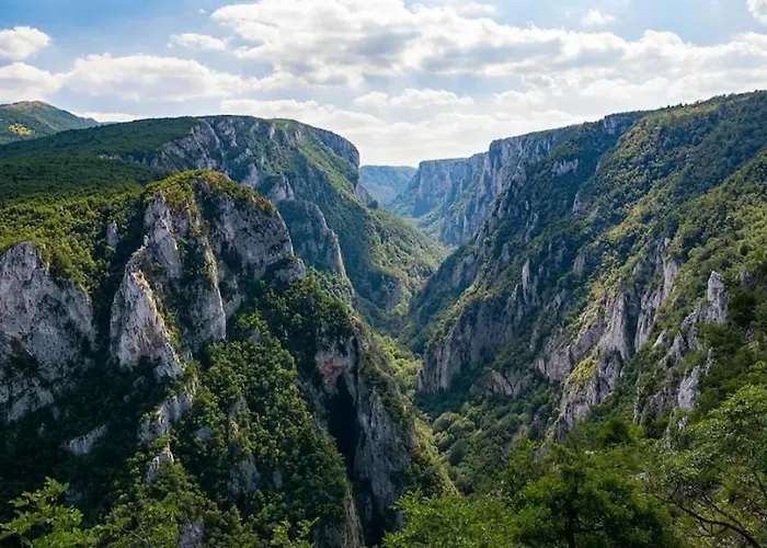 度假居 Tea Borsko Jezero
