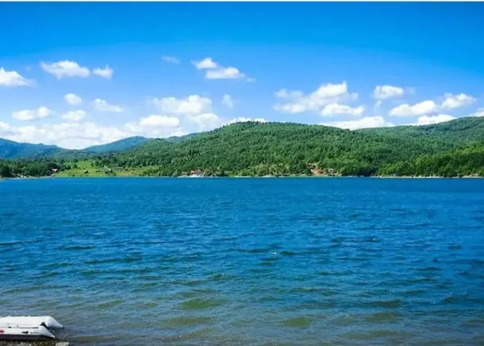 Tea Borsko Jezero 度假居