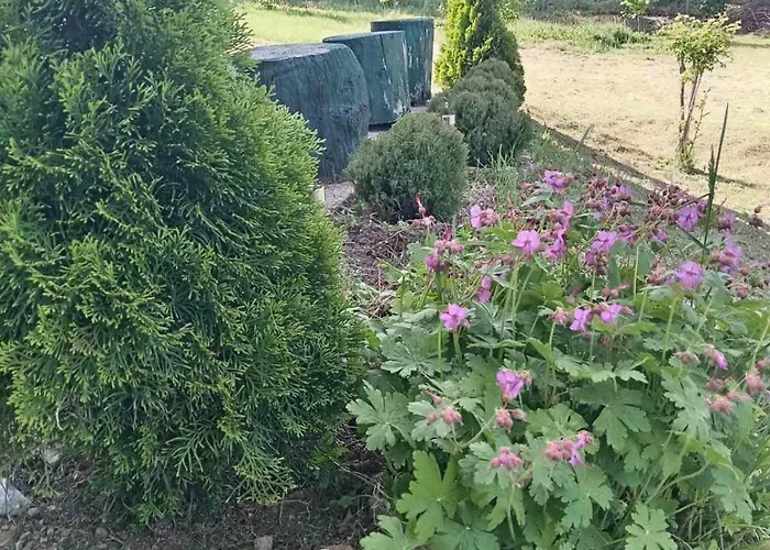 Tea Borsko Jezero 度假居 博尔