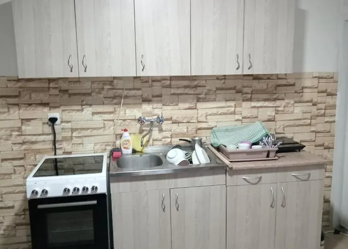 度假居 Tea Borsko Jezero