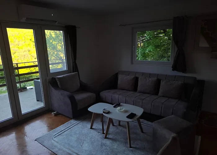 度假居 Tea Borsko Jezero *