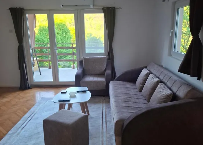 Tea Borsko Jezero * 博尔