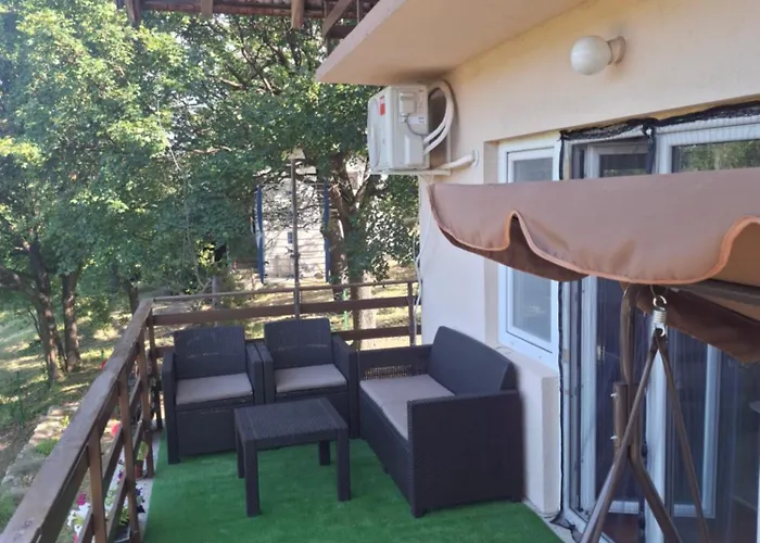 Tea Borsko Jezero 博尔